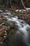 Click to see Y_DSC1719.JPG
