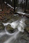 Click to see Y_DSC1722.JPG