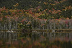 Nikon D750 shooter's report photo