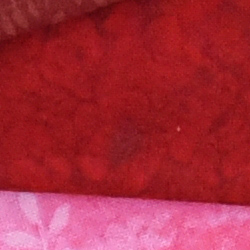 100% crop from Nikon D750 test image taken at ISO 3200