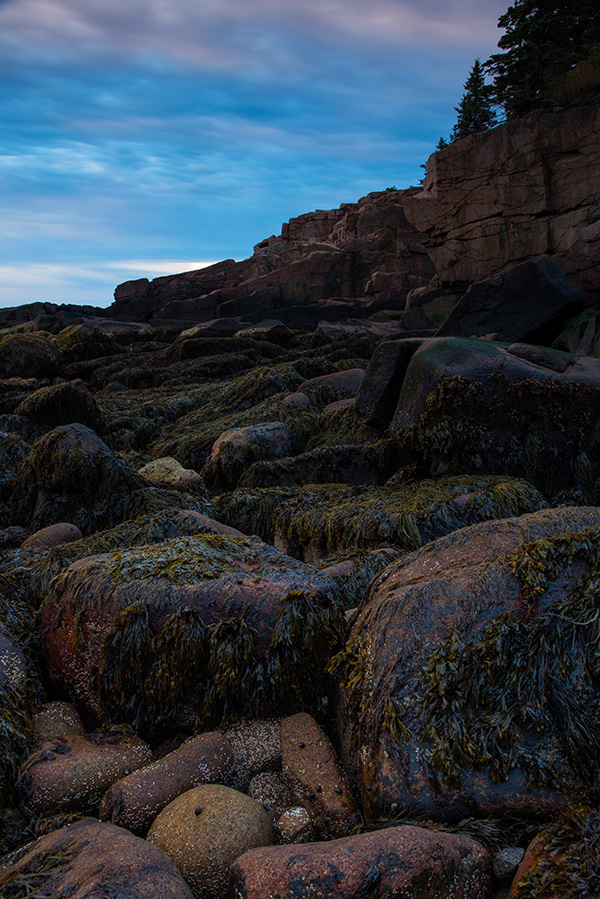 Nikon D750 Review - Field Test Part I