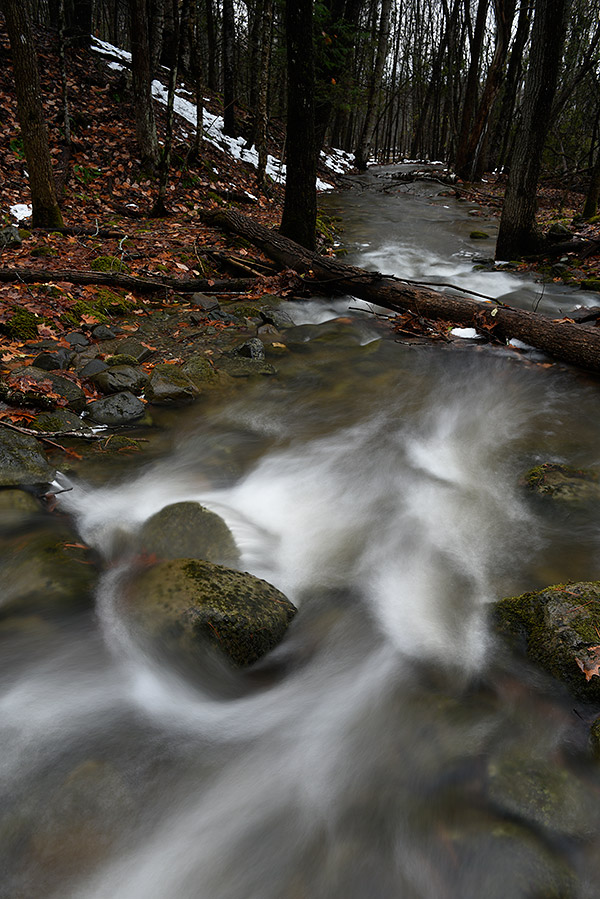 Nikon D750 Review