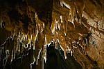 Click to see YDSC_0208.JPG