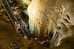Click to see YDSC_0221.JPG