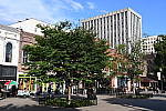 Click to see YDSC_0250.JPG
