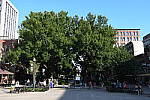 Click to see YDSC_0270.JPG