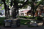 Click to see YDSC_0321.JPG