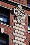 Click to see YDSC_0333.JPG