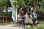 Click to see YDSC_0381.JPG