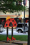 Click to see YDSC_0393.JPG