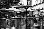 Click to see YDSC_0529.JPG