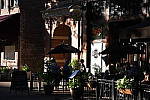 Click to see YDSC_0530.JPG
