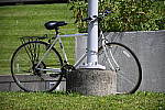 Click to see YDSC_0566.JPG