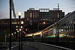 Click to see YDSC_1200.JPG