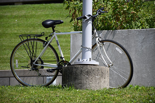 Nikon D7500 review -- Sample photo