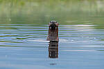 Click to see Y-JG-D780-0094-MOD.JPG