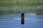 Click to see Y-JG-D780-0094.JPG