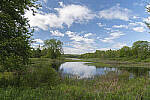 Click to see Y-JG-D780-0204-MOD.JPG