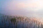 Click to see Y-JG-D780-0264-MOD.JPG