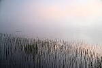 Click to see Y-JG-D780-0264.JPG