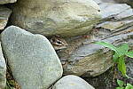 Click to see Y-JG-D780-0545.JPG
