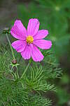 Click to see Y-JG-D780-0869.JPG