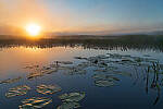 Click to see Y-JG-D780-1386-MOD.JPG