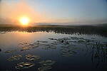 Click to see Y-JG-D780-1386.JPG