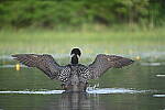 Click to see Y-JG-D780-2313.JPG