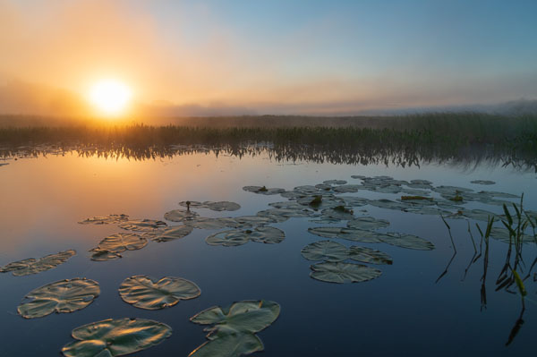 Nikon D780 Review: Field Test -- Gallery Image
