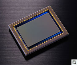 Nikon D800 imager