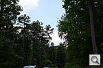 Click to see D800EPINE.JPG