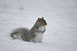 Click to see Y-D800E-500PF-0644.JPG