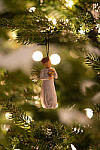 Click to see Y-JG-D800E-SIGMA-105MM-0778-MOD.JPG