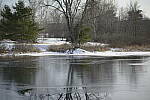 Click to see Y-JG-D800E-SIGMA-105MM-0902-SHARP-F1-8.JPG