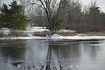 Click to see Y-JG-D800E-SIGMA-105MM-0903-SHARP-F2.JPG
