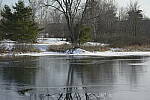 Click to see Y-JG-D800E-SIGMA-105MM-0904-SHARP-F2-8.JPG