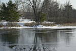 Click to see Y-JG-D800E-SIGMA-105MM-0905-SHARP-F4.JPG
