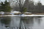 Click to see Y-JG-D800E-SIGMA-105MM-0908-SHARP-F11.JPG