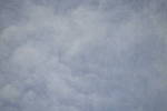 Click to see Y-Laowa105-JPG9157-VIGNETTE-fstop-2.8.JPG
