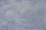 Click to see Y-Laowa105-JPG9160-VIGNETTE-fstop-8.0.JPG