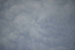 Click to see Y-Laowa105-JPG9164-VIGNETTE-tstop-3.2.JPG