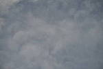 Click to see Y-Laowa105-JPG9165-VIGNETTE-tstop-4.JPG