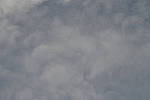 Click to see Y-Laowa105-JPG9166-VIGNETTE-tstop-5.6.JPG