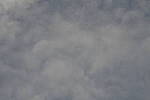 Click to see Y-Laowa105-JPG9167-VIGNETTE-tstop-8.JPG