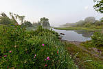 Click to see Y-SIGMA14MM-JPG0089-MOD.JPG