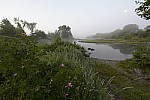Click to see Y-SIGMA14MM-JPG0089.JPG