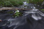 Click to see Y-SIGMA14MM-JPG0107.JPG