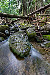 Click to see Y-SIGMA14MM-JPG0123-MOD.JPG