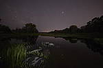 Click to see Y-SIGMA14MM-JPG0163.JPG